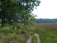 Klik op de foto voor groter formaat